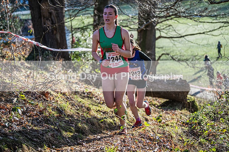 Cumbria XC-344 - Cumbria Cross Country Championships (Junior & Senior Races) Saturday 3rd January 2026