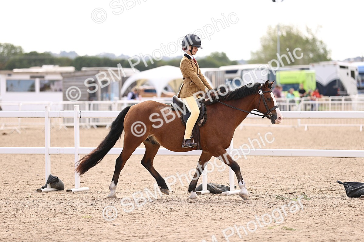 SBM_12829 - Class 409 - Grassroots Ridden - Pony
