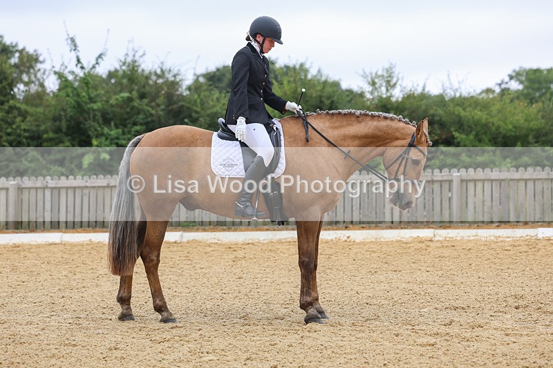 3E7A5082 - Class 2: Intro 4 2024 section B