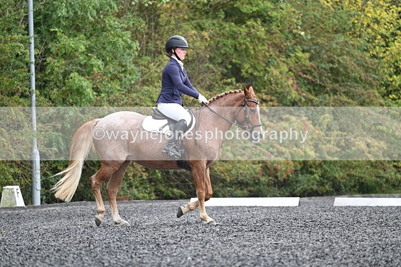 WJ7_3731 - Time 11:04 to 11:38