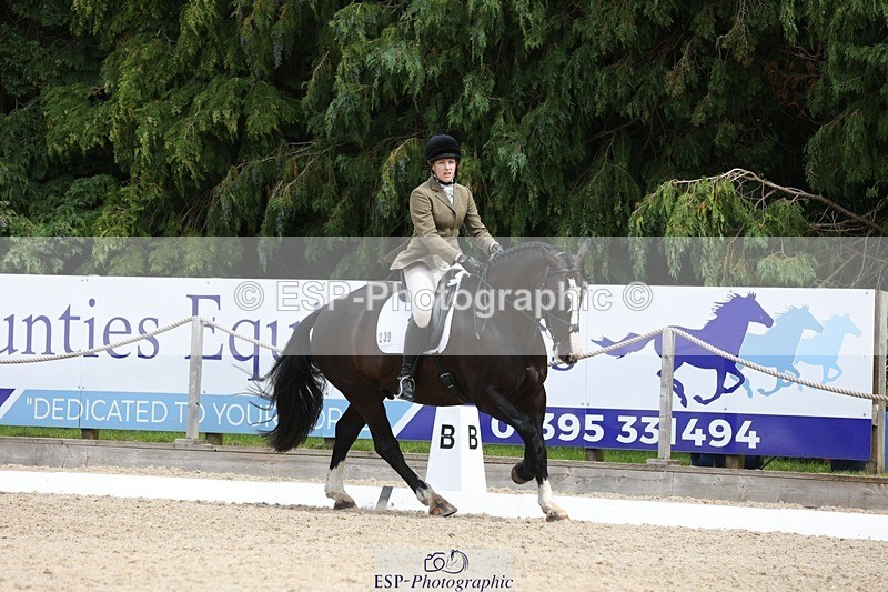 230812-134340-04298 - Cls 5 Novice Bronze 13.40 to 14.45 break