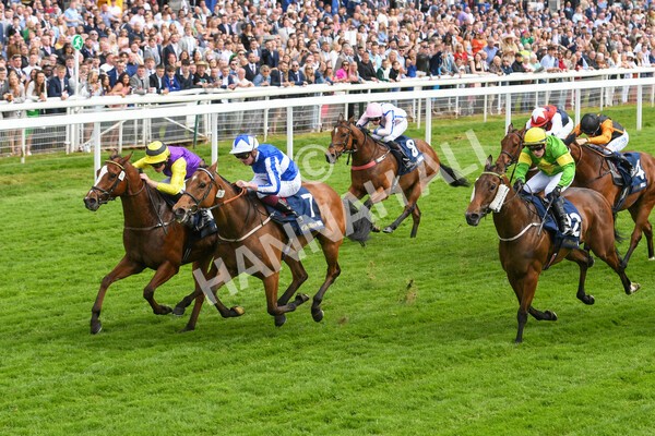 yr21052022r3-10 - Race 3: 3:30pm William Hill Best Odds Guaranteed Stakes
