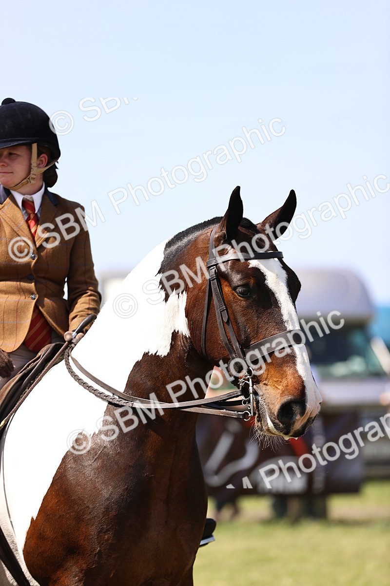 SBM_13841 - Class 77 - LIHS BSHA Rising Star Cobs