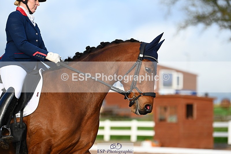 240218A-160238-09304 - 209-Charlotte.Dicker-Catherston.Tarantella