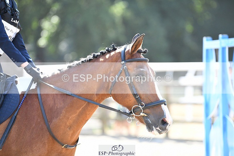 250822A-104032-20757 - NAF Round 1 10.20 to 11.30