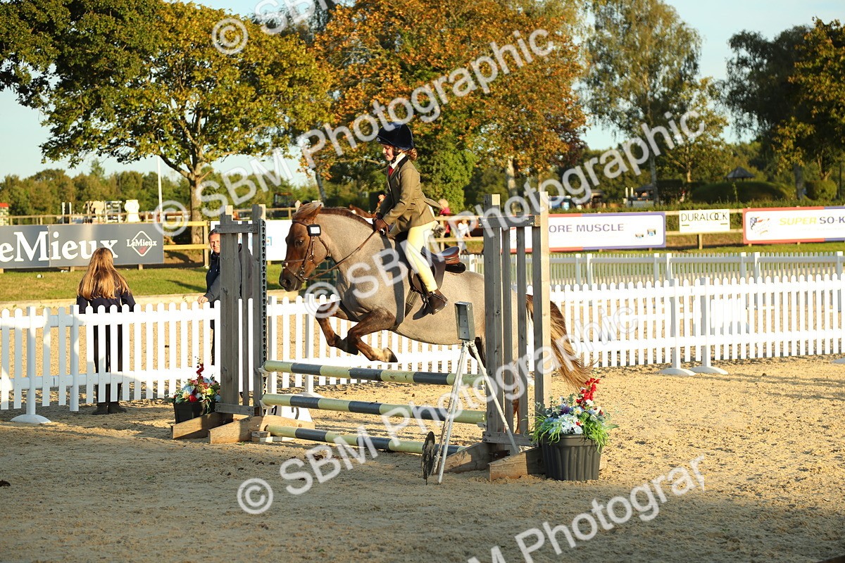 SBM_53913 - J8 - Junior Pony 65cm Championship