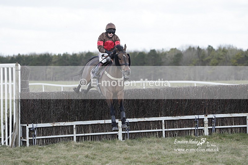 PtP 260223 663 - South & West Wilts Point-to-Point Larkhill 26/02/23