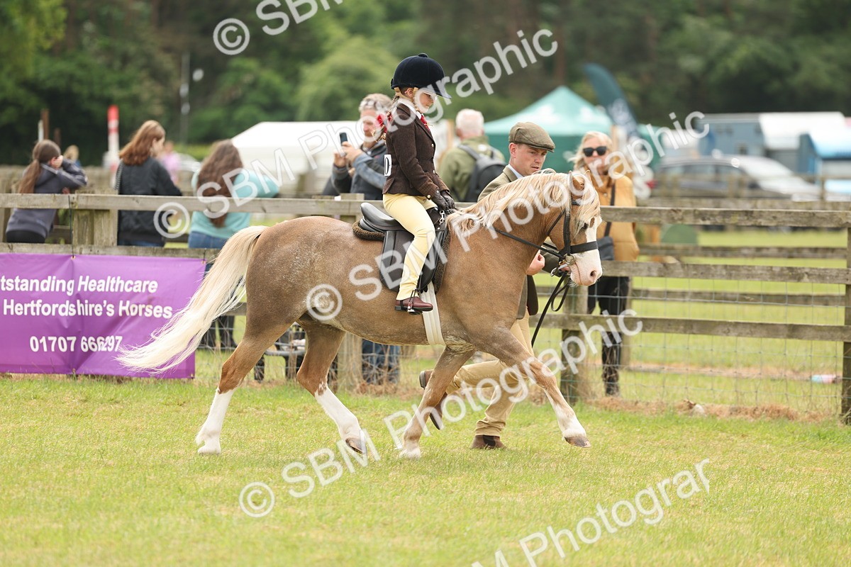 SBM_06644 - Class 74-75 - M&M Lead Rein and First Ridden Pony