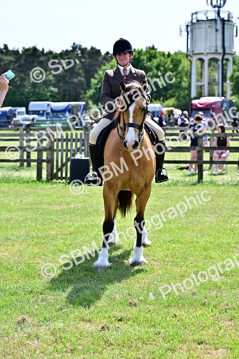 SBM_08154 - Class 61-62 - TSR  M&M Ridden Amateur of the Year