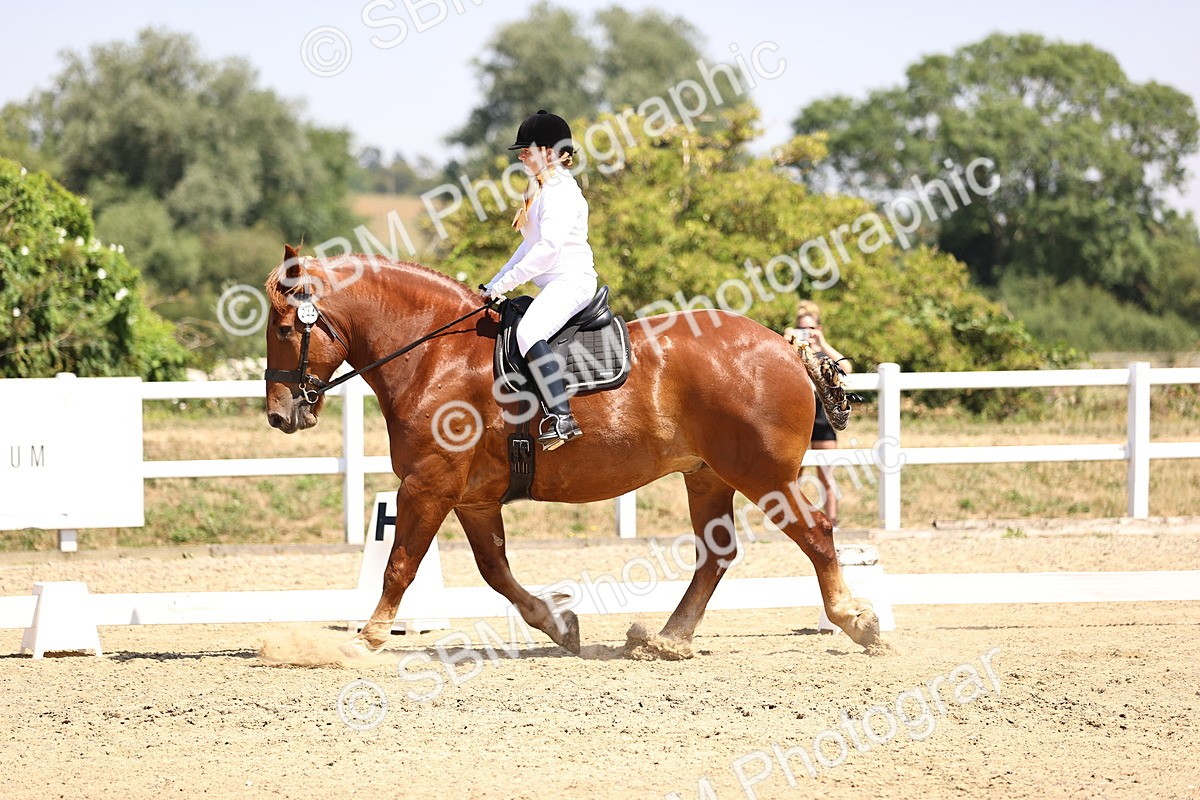 SBM_004130 - Intro 2