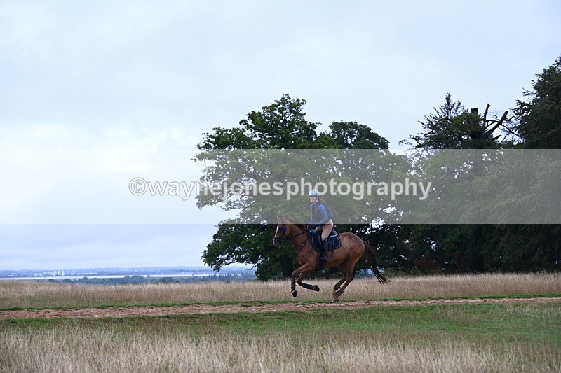 DSC_3818 - Time at Statue 13:51 to 14:55