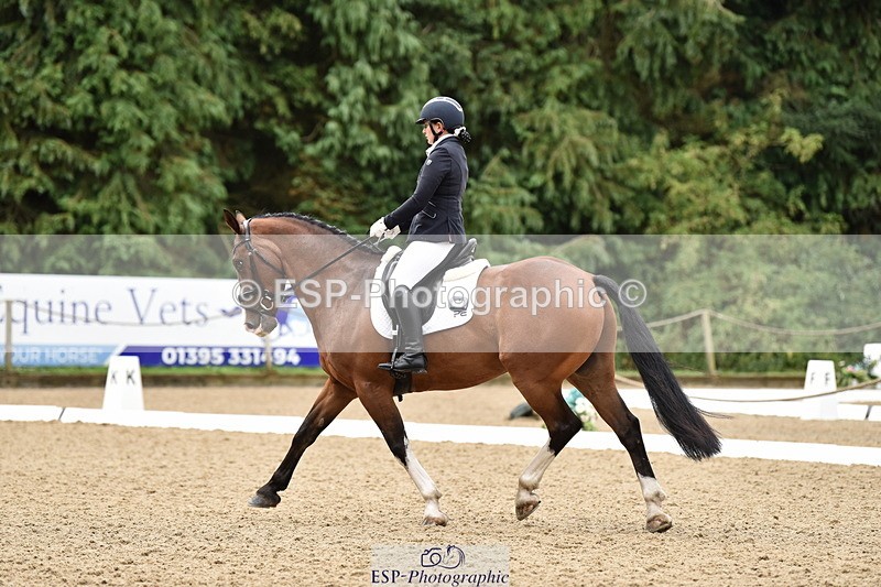 140109A-233344-08501 - 008-Bella.Balian-Beechwood.Joey