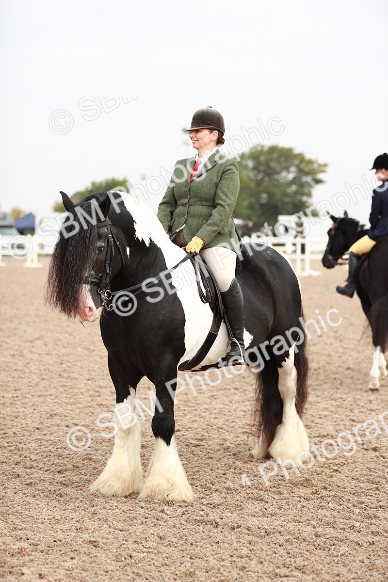 SBM_09431 - Class 202 Best Turned Out Ridden