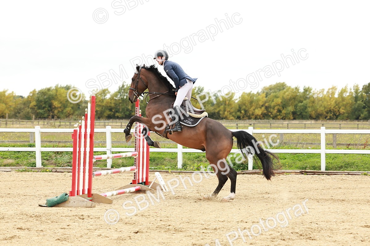 1I0A7015 - Class 2 - Senior British Novice