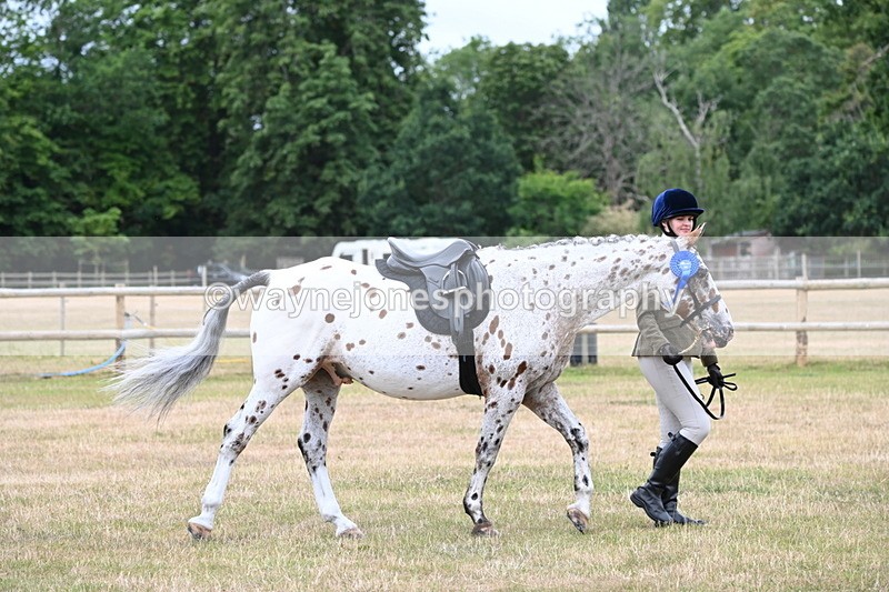 WJ6_4083 - Class 9 Tack & Turnout