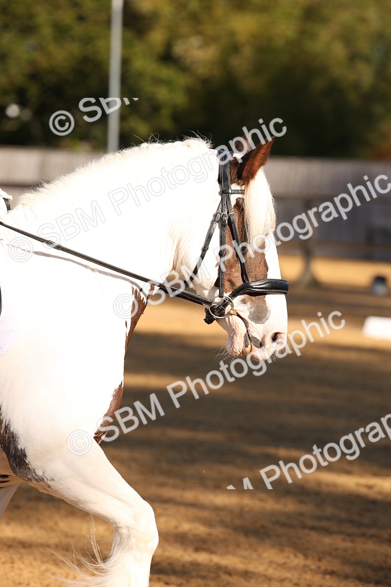 SBM_18264 - D31 - Grand Tour - PYO Open