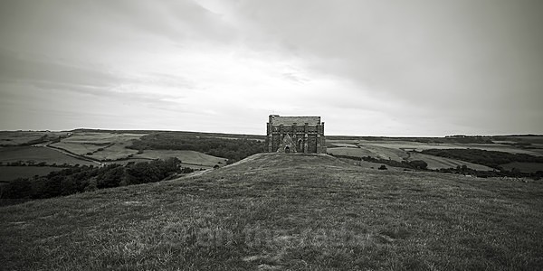  - Scattered Black and Whites