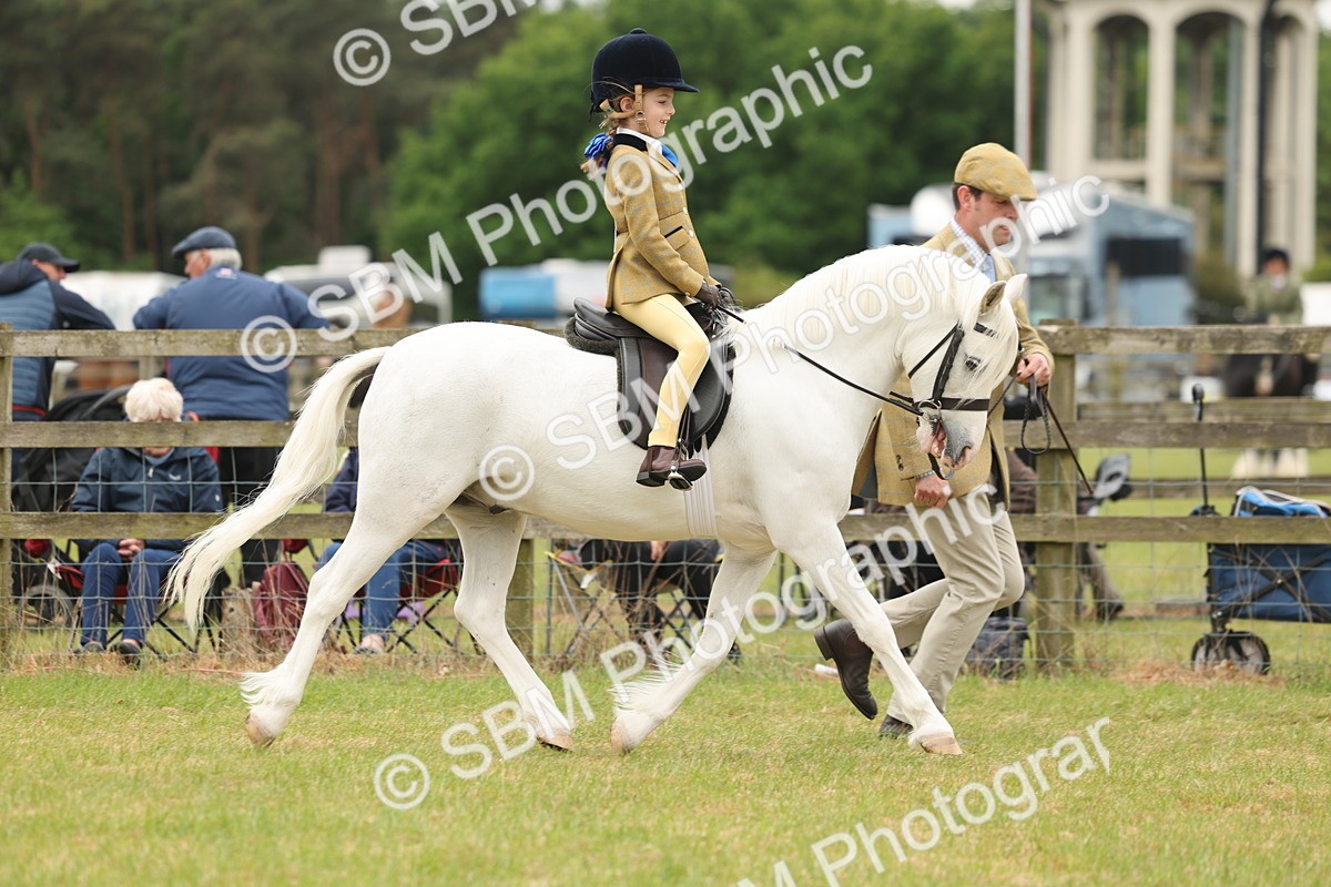SBM_06708 - Class 74-75 - M&M Lead Rein and First Ridden Pony