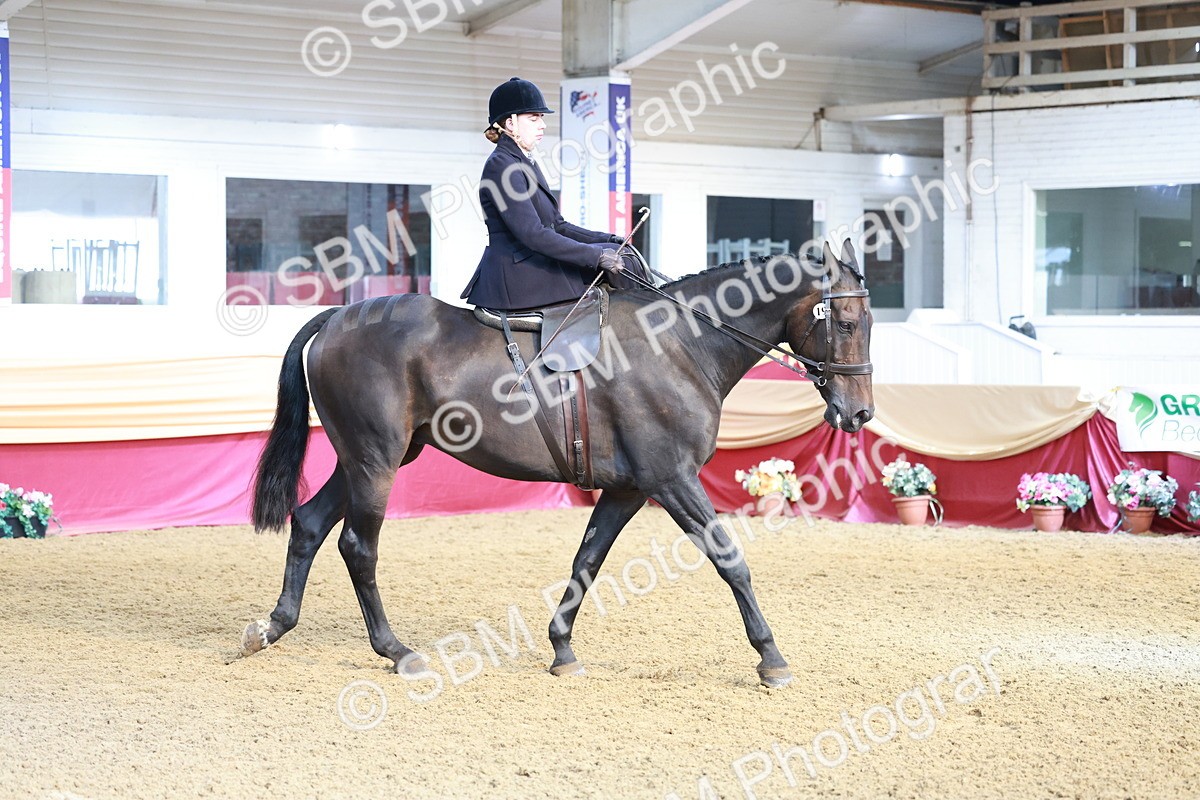 SBM_11950 - Class 102 - Equitation (Best Rider) Adult