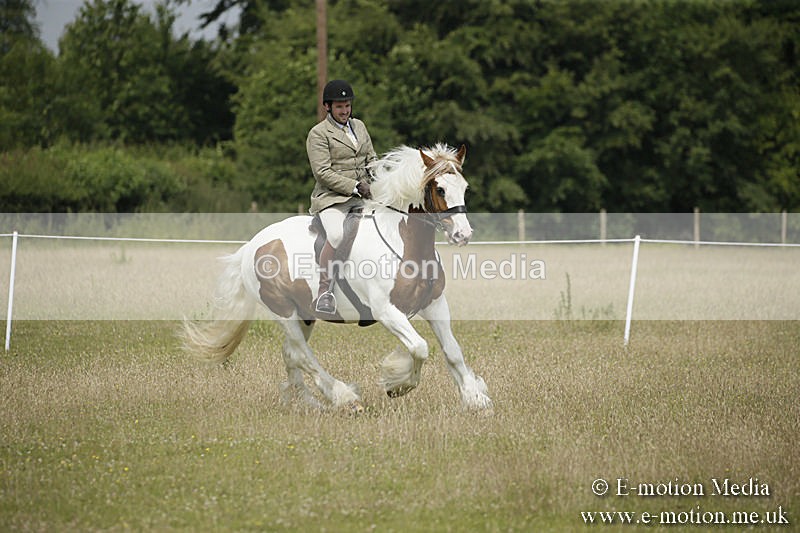 B230619-0451 - Bourne Valley Riding Club Summer Show 23/06/19