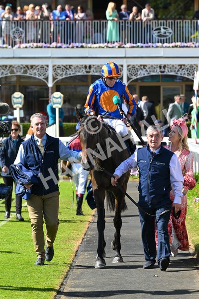 140525-Race 4-Whirl-2501 - Race 4 3.45pm Tattersalls Musidora Stakes