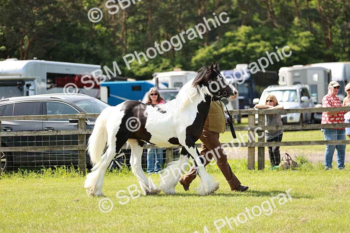 SBM_04158 - Class 39-40 - BSPA Coloured In Hand