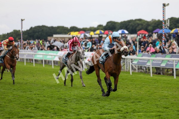 150624-Race 5-The Strikin Viking-6197 - Race 5 4.10pm Reg Griffin Appreciation ebfstallions.com Maiden Stakes