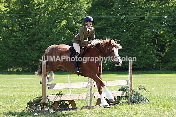 IMG_4362 - Working Hunter