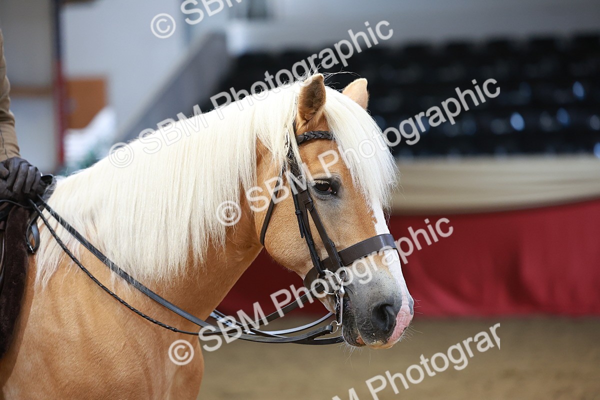 SBM_09697 - Class 102 - HOYS Veteran Qualifier - Ridden Veteran