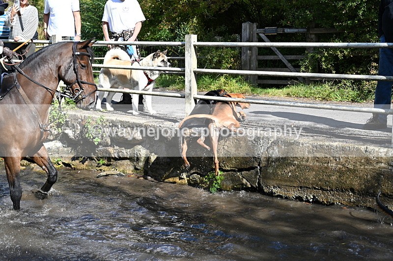 WJ7_6023 - Hounds Water Crossing