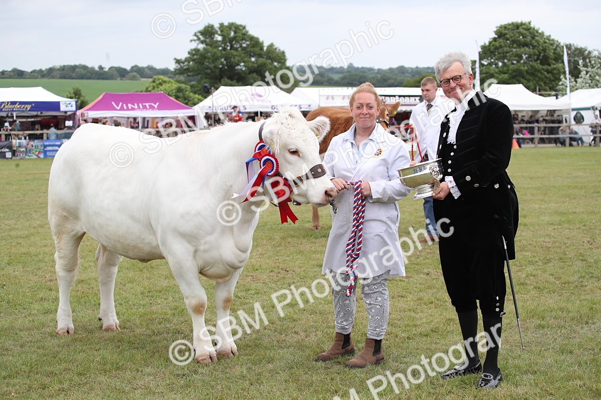 SBM_07919 - Grand Parade