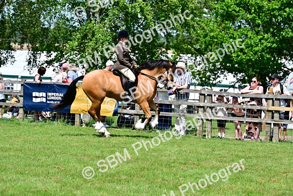 SBM_07903 - Class 61-62 - TSR  M&M Ridden Amateur of the Year
