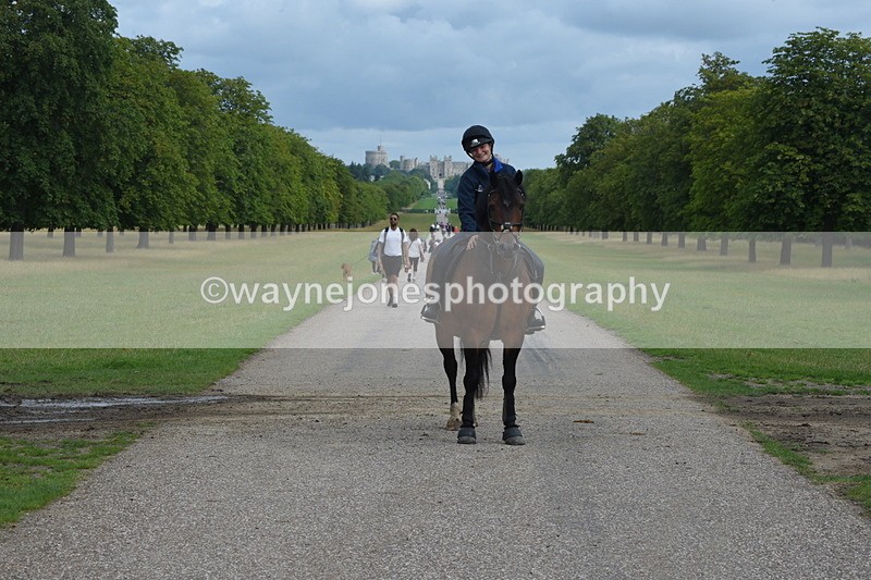 TT3_9135 - Time at Crossing 09:22 to 11:26