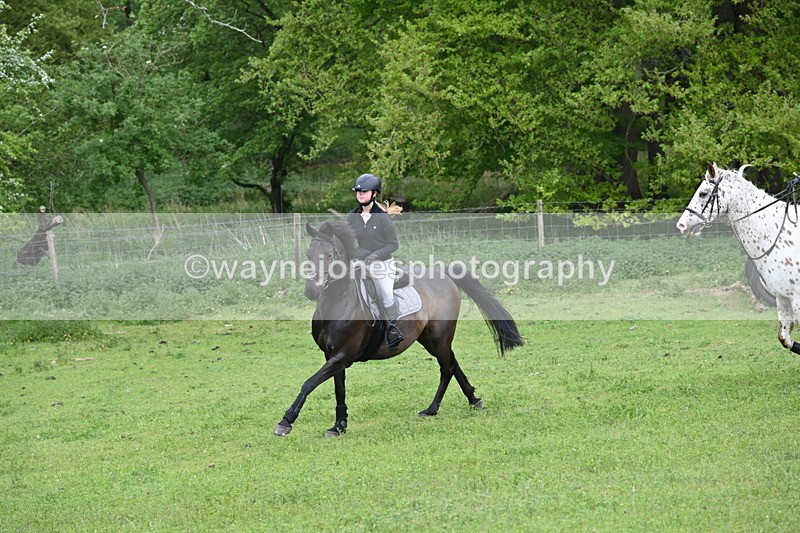 WJ6_2858 - A Camera
