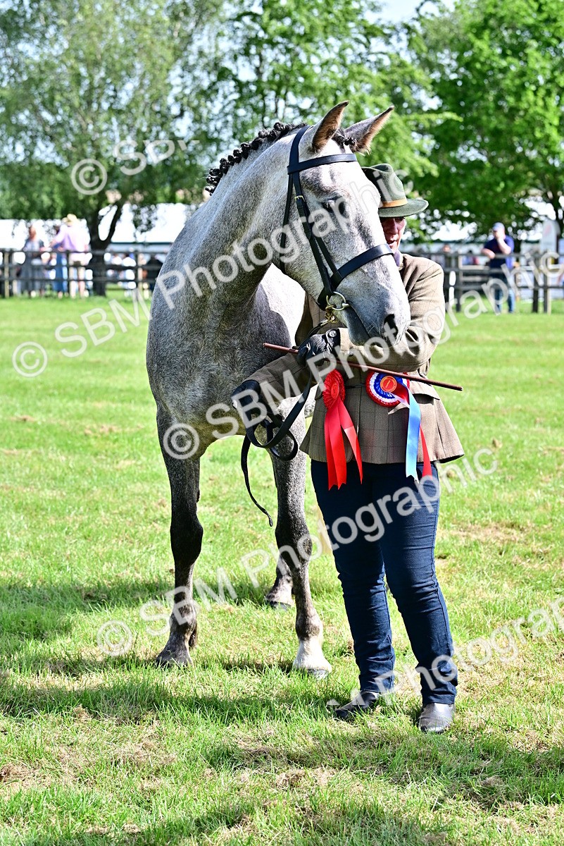 SBM_03359 - Class 50 - 54 Light Horse Breeding