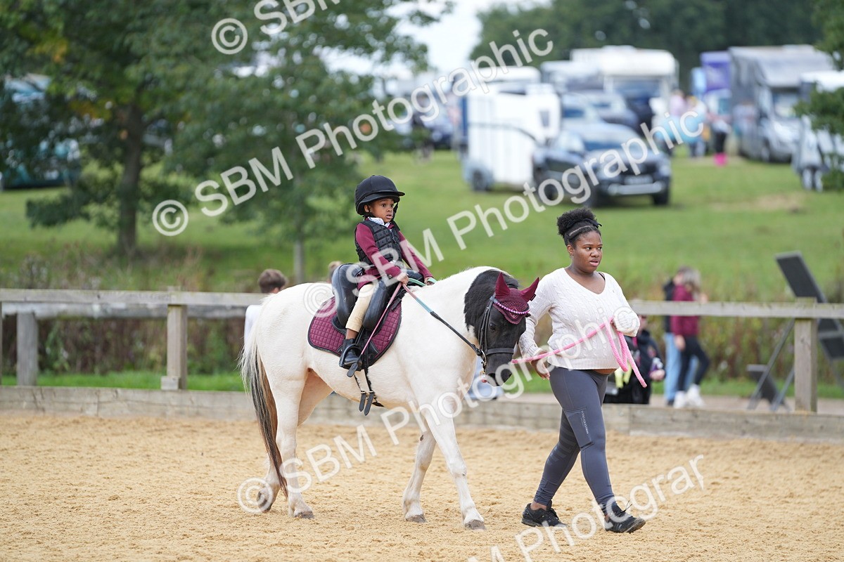 SBM_64351 - J2 - Mini Tour Junior Pony 30cm Championship