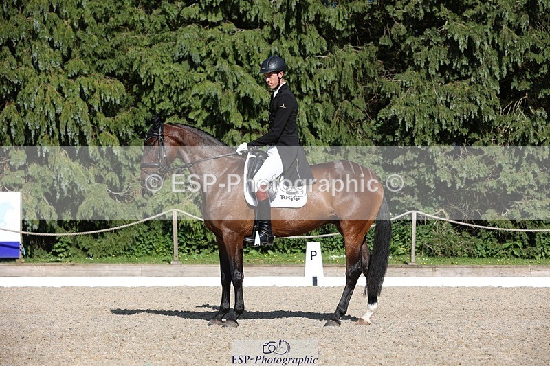 230526-171556-07937 - 176-TENZ-Will_Rawlin-WEDTrotUp+DR