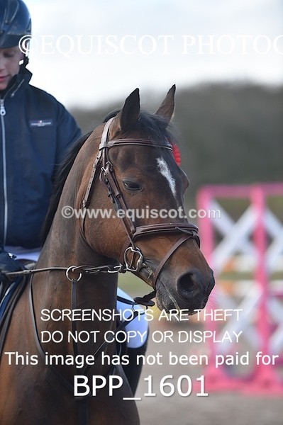 BPP_1601 - CLASS 8 Springboard