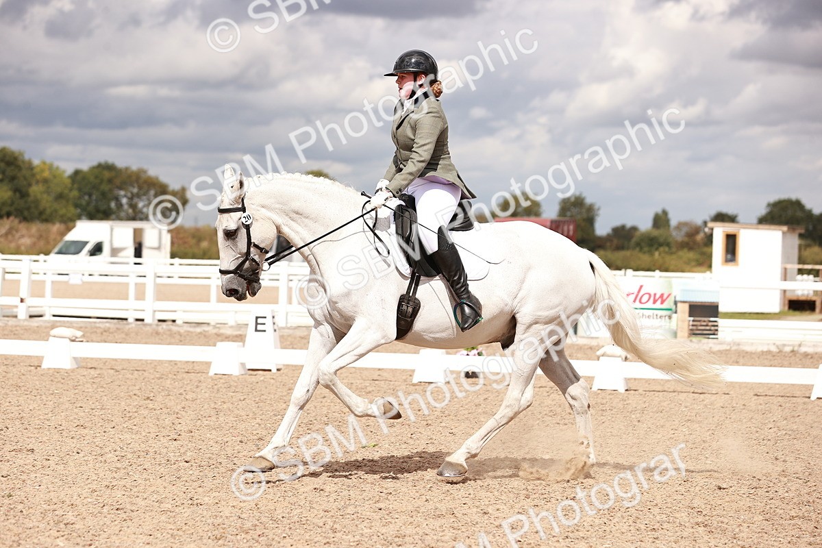 SBM_06310 - Class 37 - Novice 5