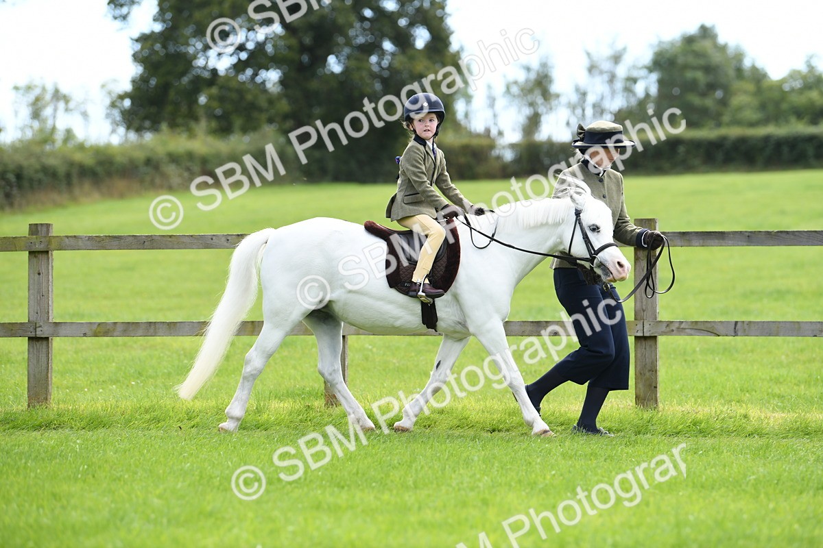 SBM_42471 - S20 - Lead Rein Mountain & Moorland Pony
