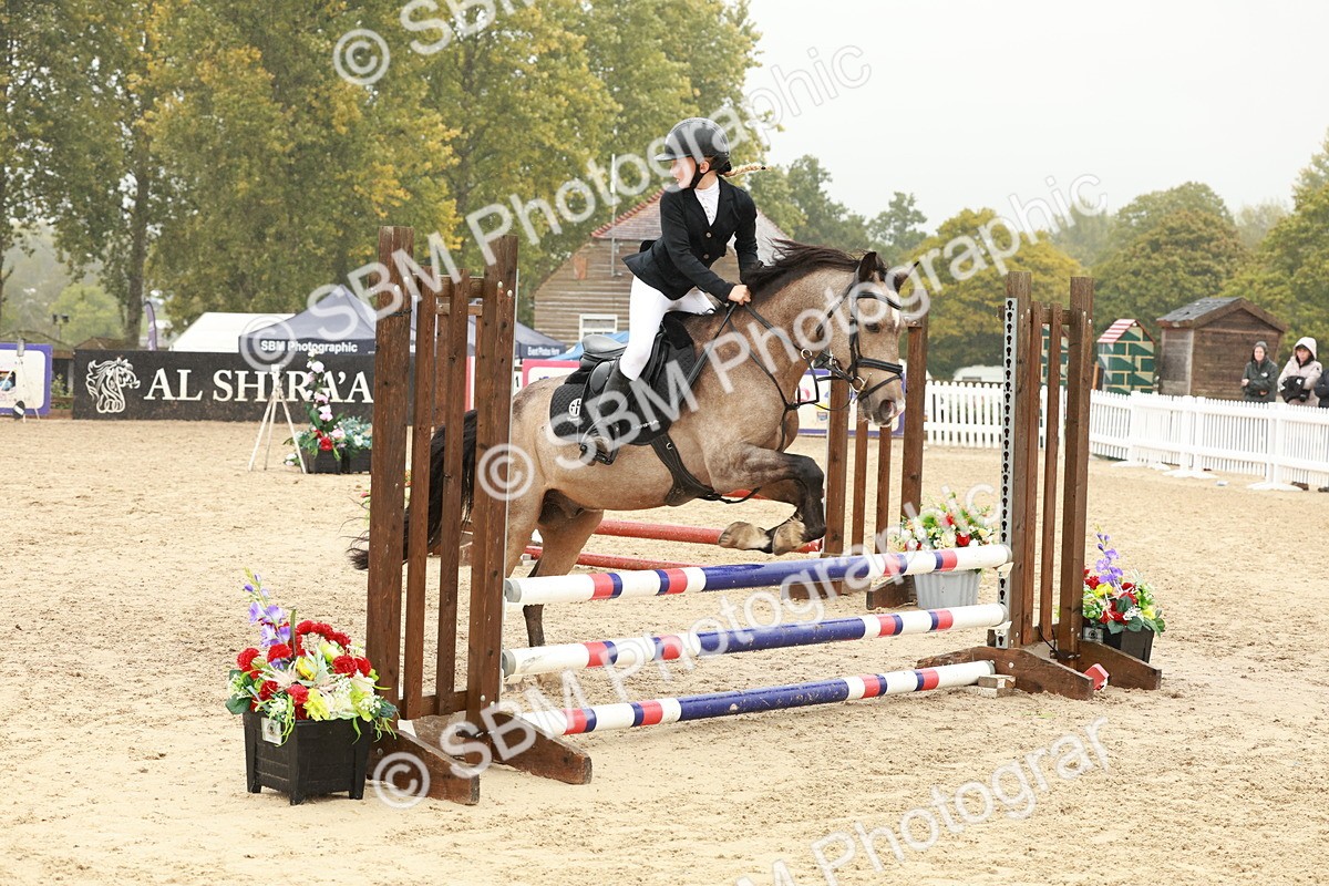 SBM_71304 - J14 - Junior Pony 65cm Championship