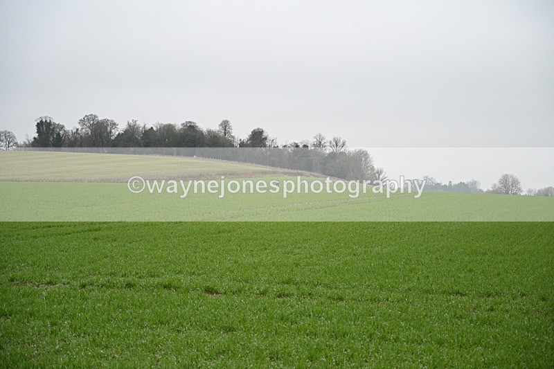 WJ7_9733 - Walk out..