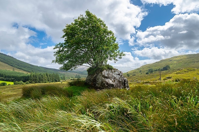 MF2_6669-HDR - Other Areas of Inland Donegal