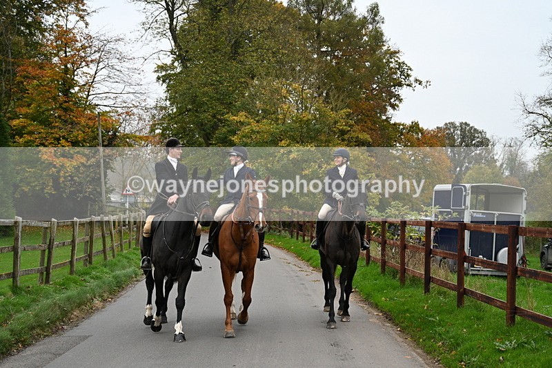 WJ7_7329 - The Meet