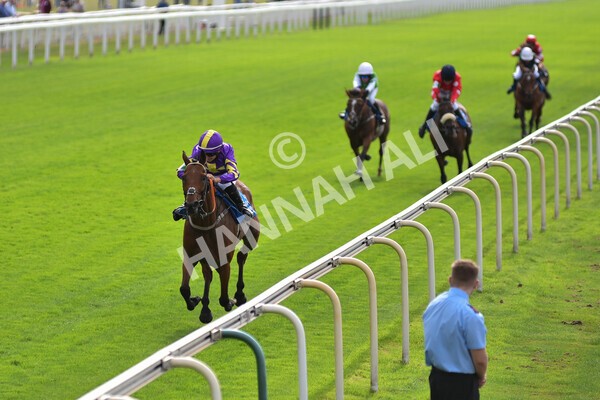 yr04092022p2-50 - 12.50pm. 148cm Open Pony Race