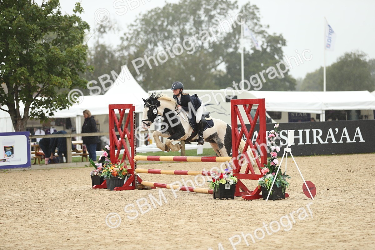 SBM_73766 - J16 - Junior Pony 75cm Championship