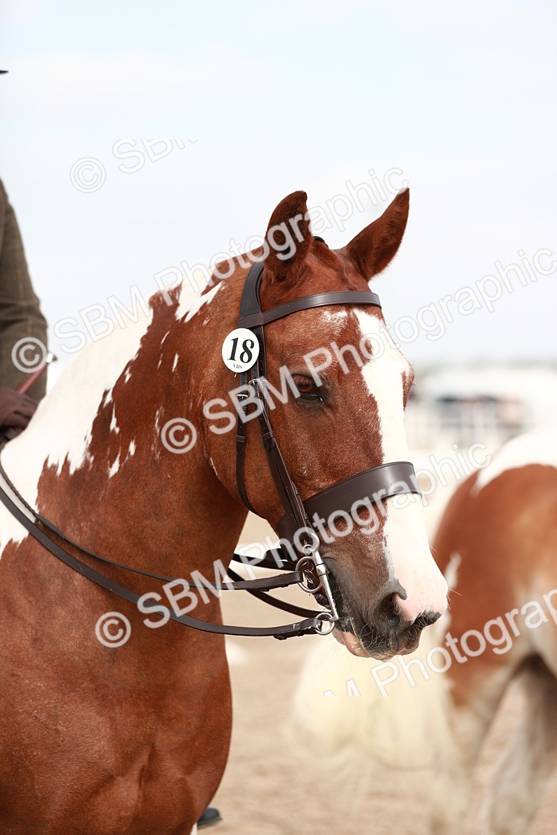 SBM_16709 - Class 214 Ridden Cob