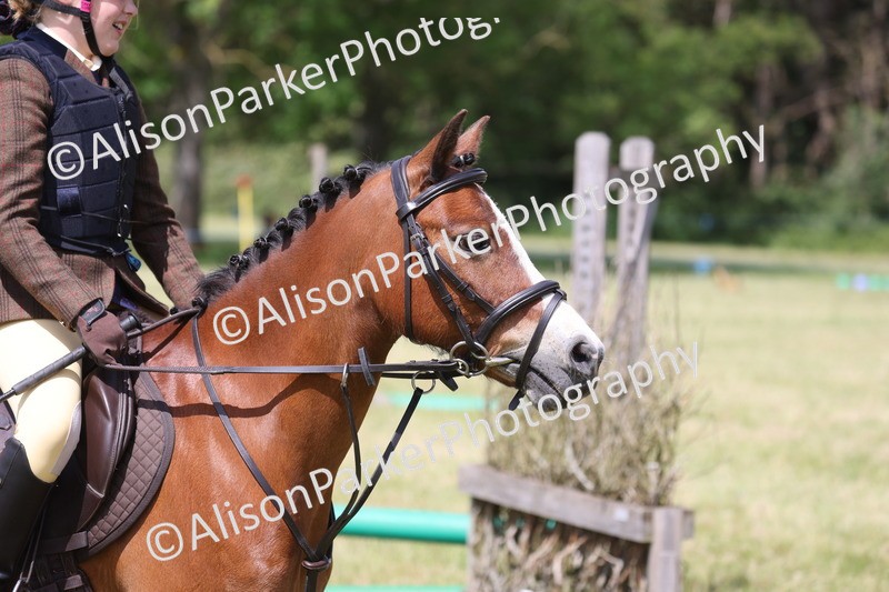 20260614-1741 - Class 21 - Novice Working Hunter Pony