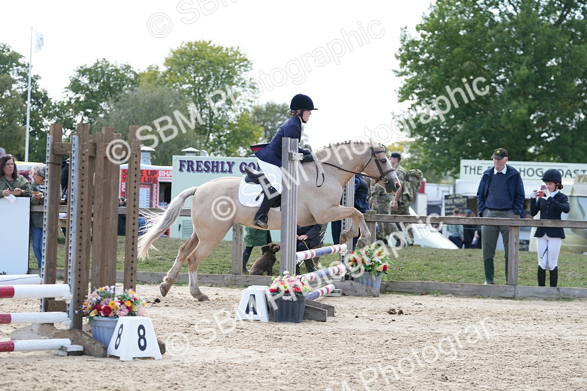SBM_48501 - J7 - Junior Pony 60cm Championship