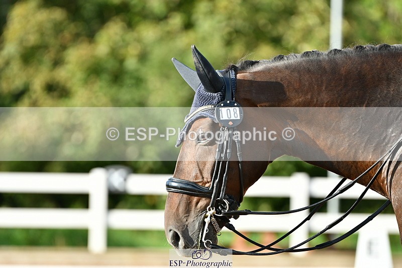 230912A-171630-01985 - Cls 23 FEI Grand Prix